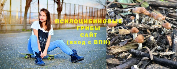 спиды Магадан
