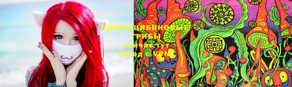 спиды Магадан