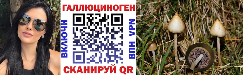купить   Гвардейск  Псилоцибиновые грибы Magic Shrooms 
