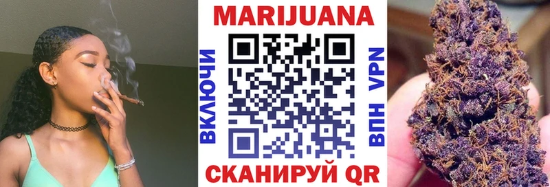 Конопля MAZAR  Гвардейск 